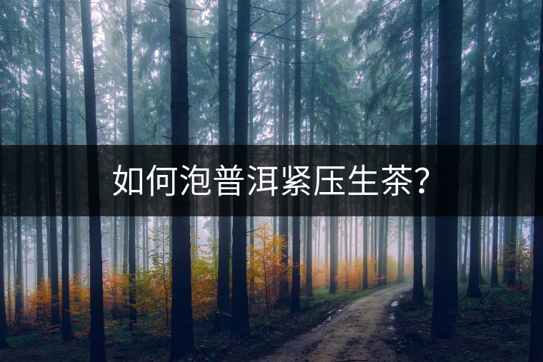 如何泡普洱緊壓生茶？