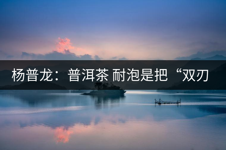 楊普龍：普洱茶 耐泡是把“雙刃劍”