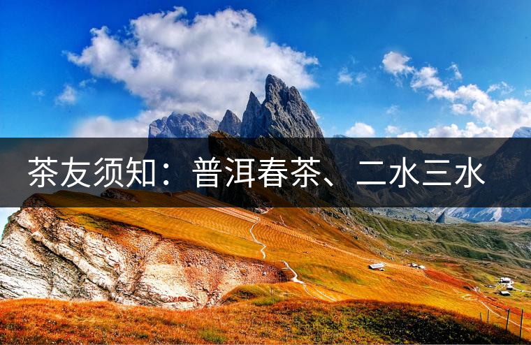 茶友須知：普洱春茶、二水三水茶和谷花茶