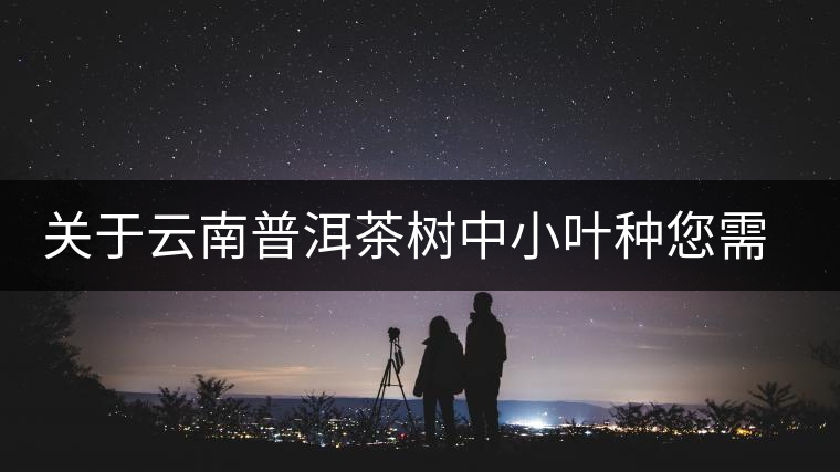 關于云南普洱茶樹中小葉種您需要知道的 關于云南普洱茶樹中小葉種您需要知道的