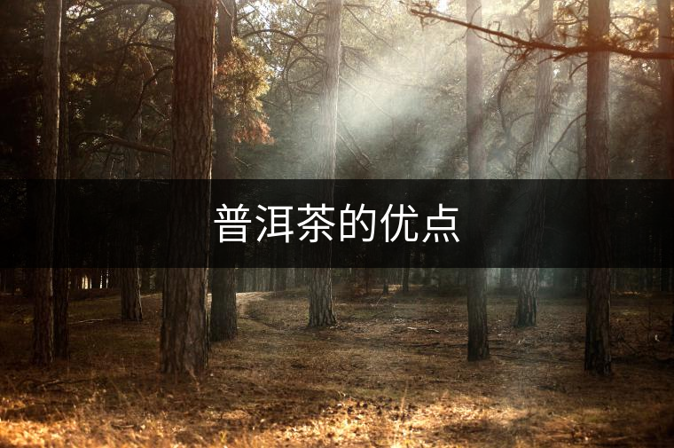 普洱茶的優(yōu)點(diǎn) 普洱茶的優(yōu)點(diǎn)