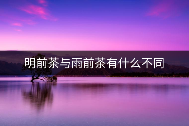 明前茶與雨前茶有什么不同