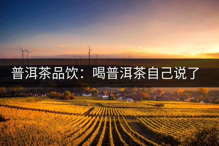 普洱茶品飲：喝普洱茶自己說了算