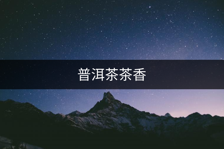 普洱茶茶香 普洱茶茶香