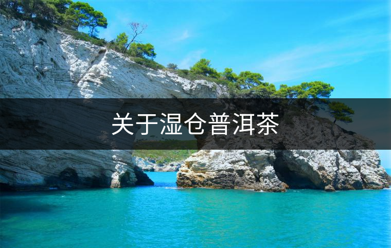 關(guān)于濕倉(cāng)普洱茶