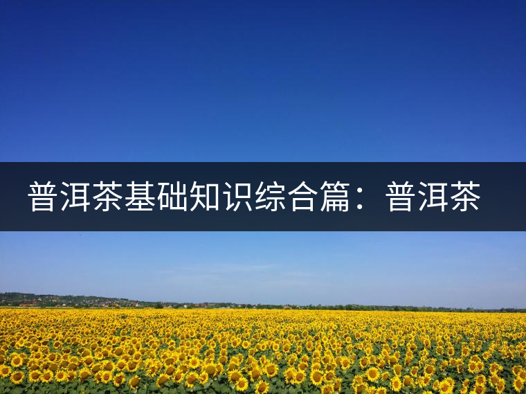 普洱茶基礎(chǔ)知識綜合篇：普洱茶與健康