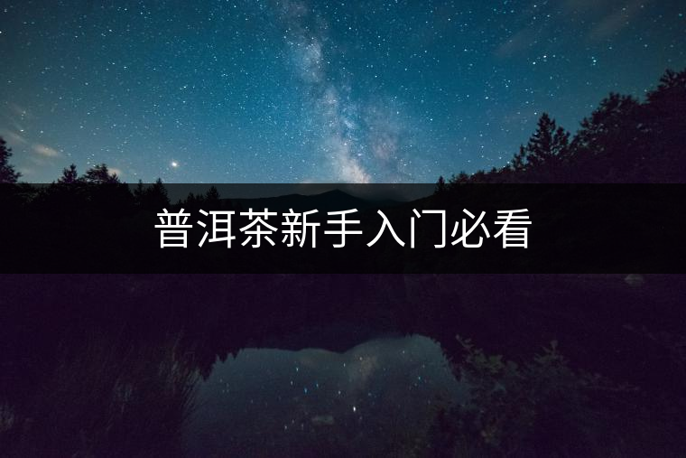 普洱茶新手入門必看