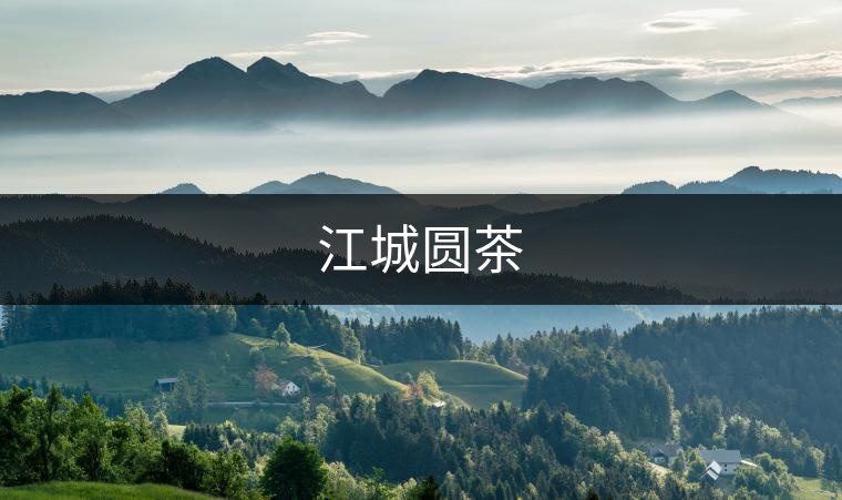 江城圓茶 江城圓茶