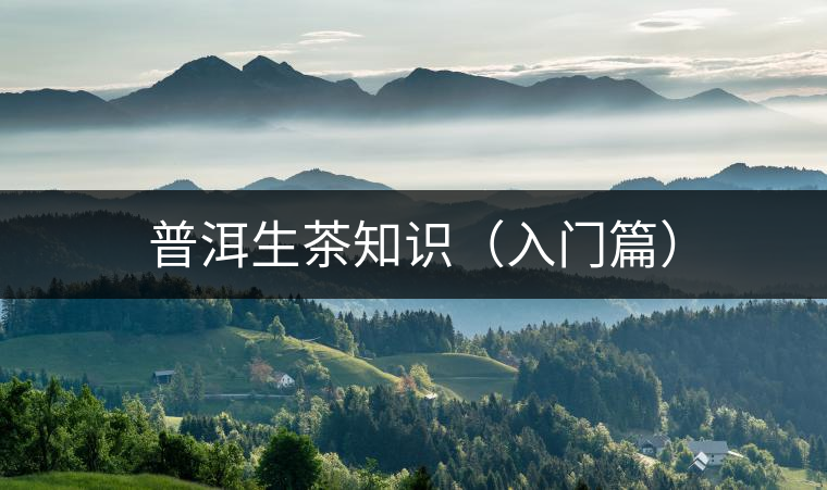 普洱生茶知識(shí)（入門(mén)篇）