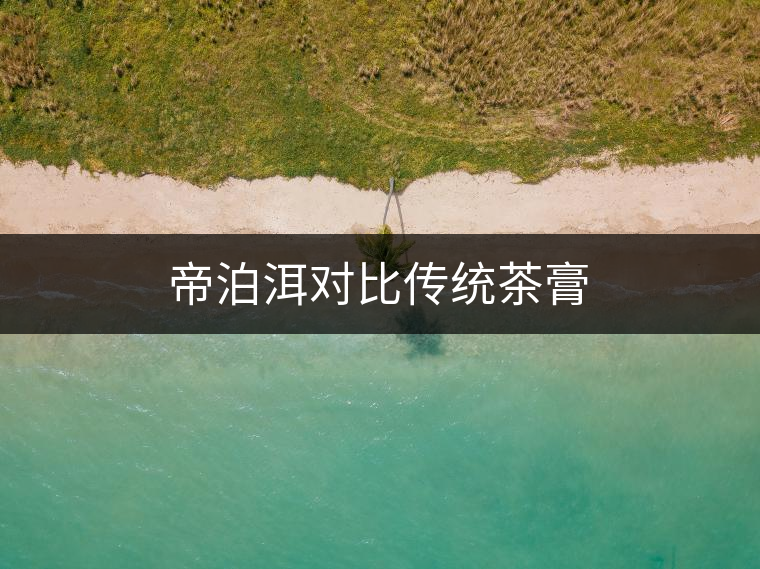 帝泊洱對(duì)比傳統(tǒng)茶膏