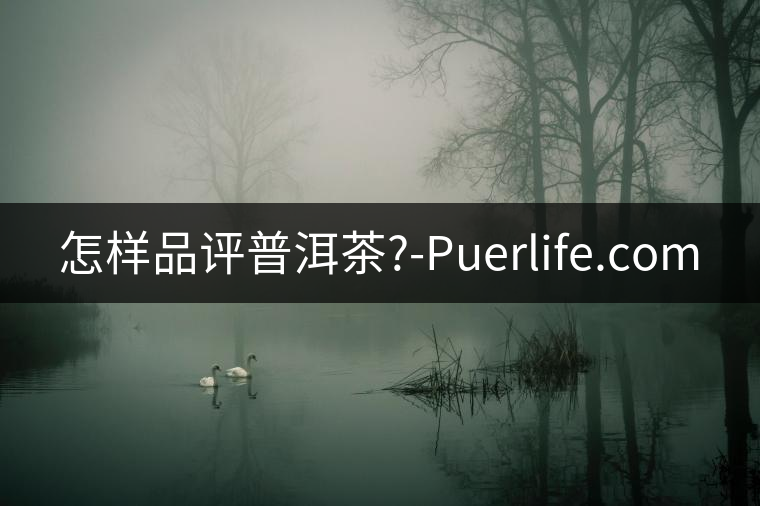 怎樣品評普洱茶?-Puerlife.com