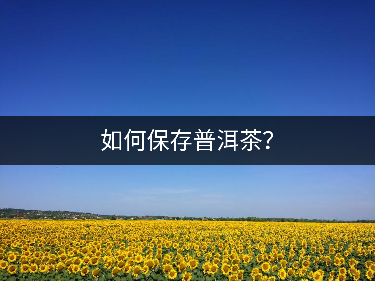 如何保存普洱茶? 如何保存普洱茶?