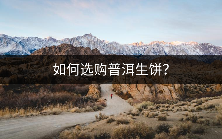 如何選購普洱生餅？