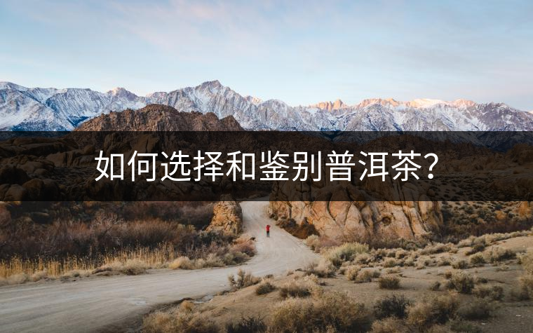 如何選擇和鑒別普洱茶？