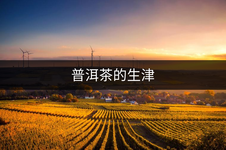 普洱茶的生津 普洱茶的生津