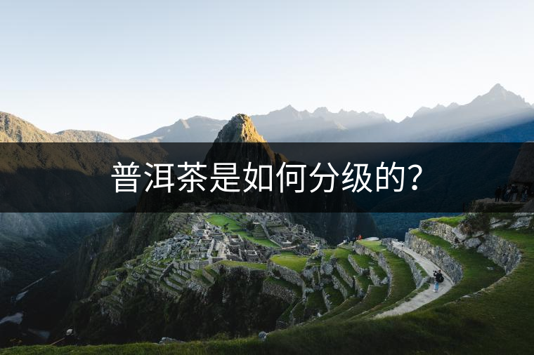 普洱茶是如何分級的？