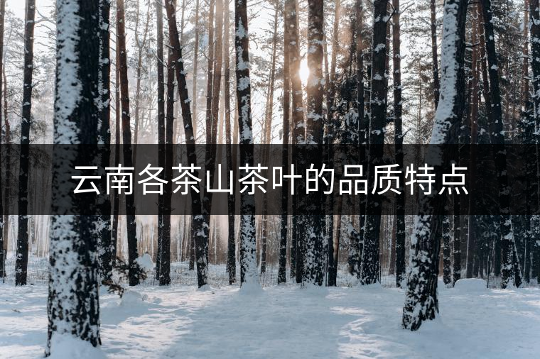 云南各茶山茶葉的品質(zhì)特點 云南各茶山茶葉的品質(zhì)特點