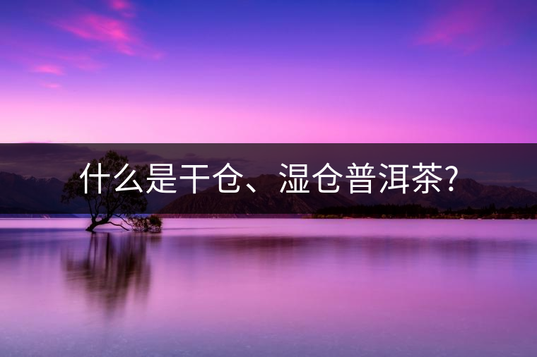 什么是干倉(cāng)、濕倉(cāng)普洱茶?