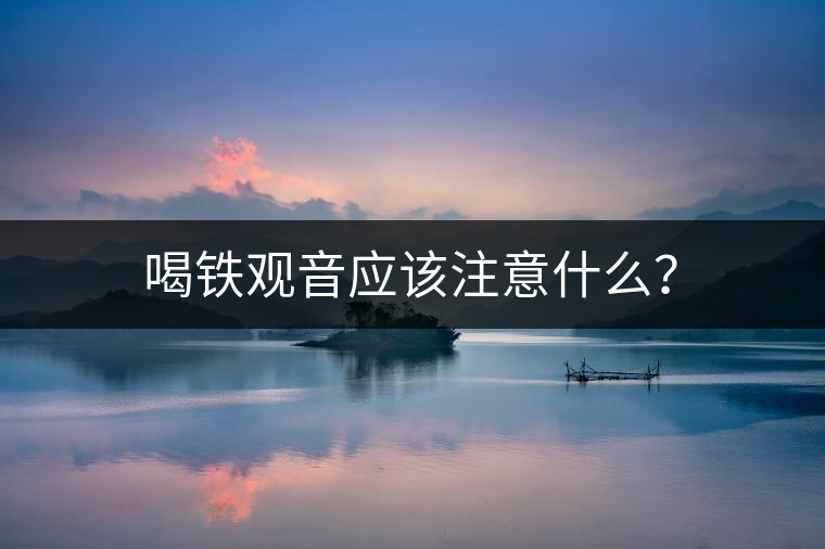 喝鐵觀音應(yīng)該注意什么？