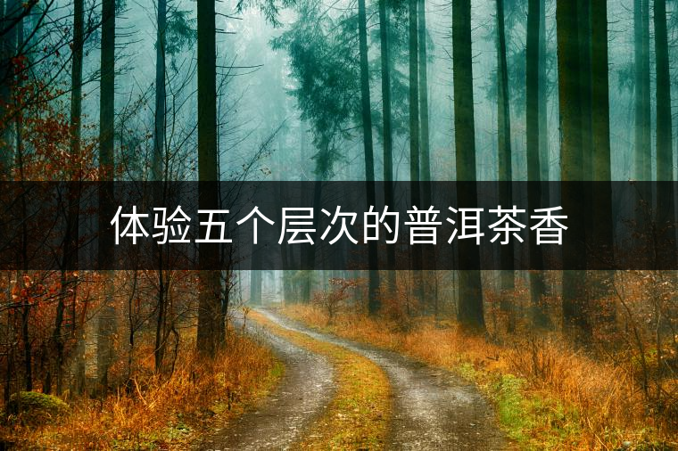 體驗五個層次的普洱茶香