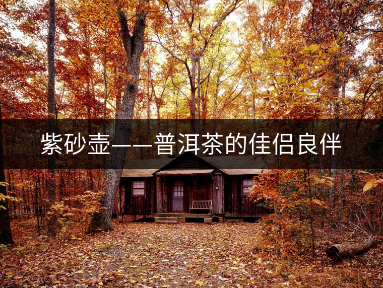 紫砂壺——普洱茶的佳侶良伴 紫砂壺——普洱茶的佳侶良伴