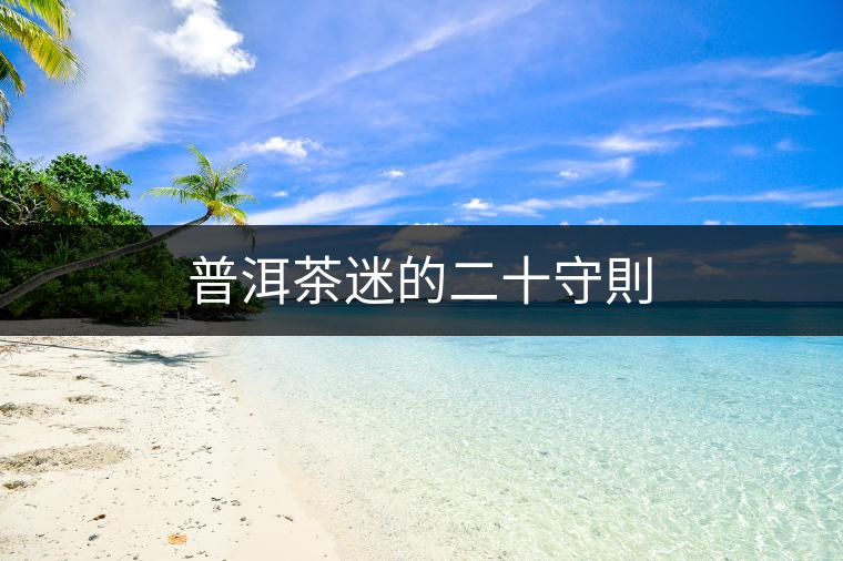 普洱茶迷的二十守則