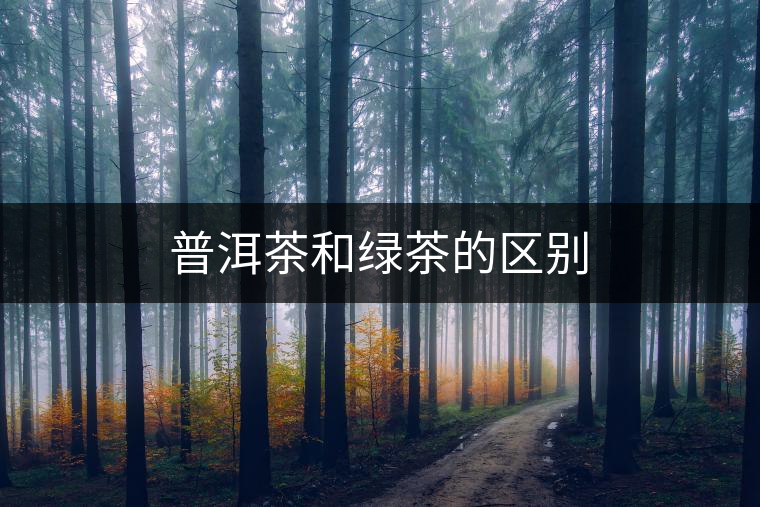 普洱茶和綠茶的區(qū)別 普洱茶和綠茶的區(qū)別