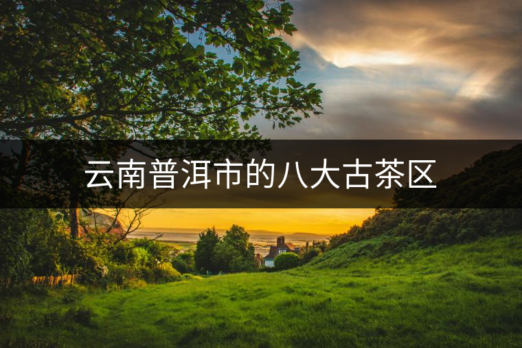 云南普洱市的八大古茶區(qū) 云南普洱市的八大古茶區(qū)
