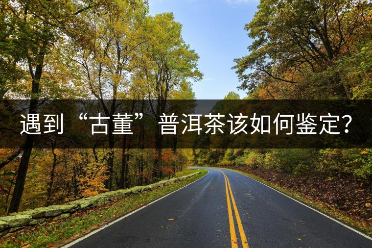 遇到“古董”普洱茶該如何鑒定？