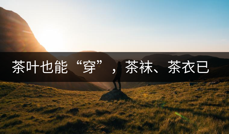 茶葉也能“穿”，茶襪、茶衣已進入研發(fā)階段