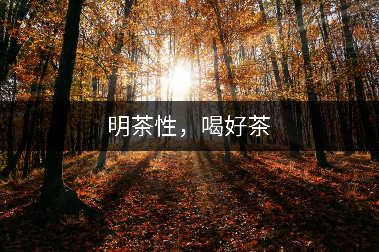明茶性，喝好茶