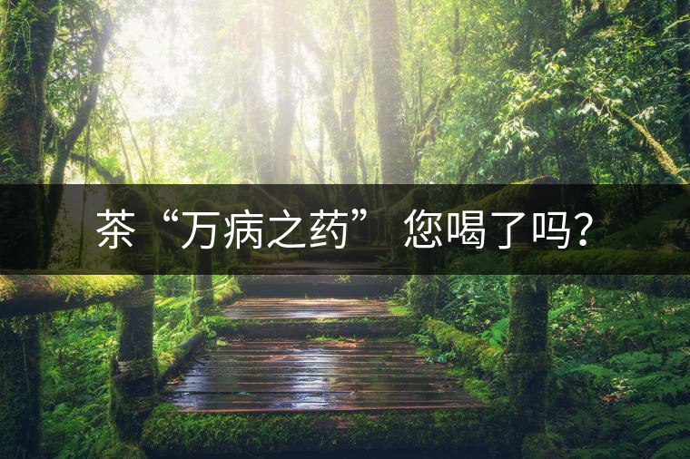 茶“萬病之藥” 您喝了嗎？