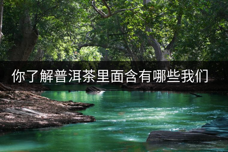 你了解普洱茶里面含有哪些我們人體必備的元素嗎？