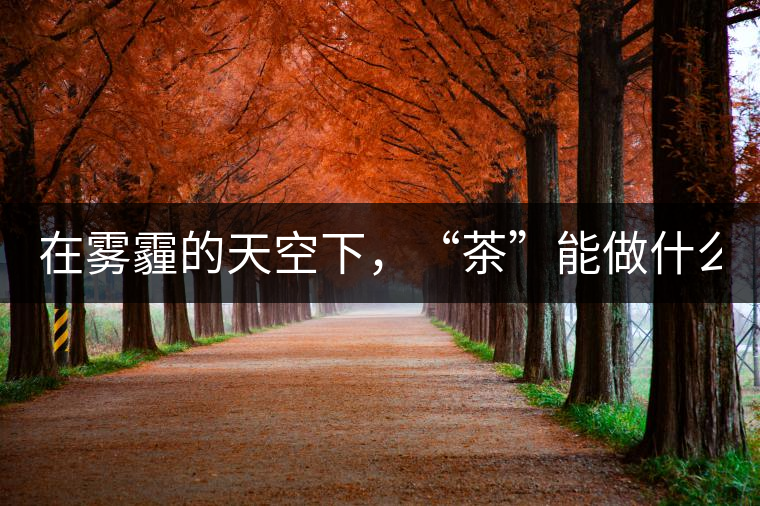 在霧霾的天空下，“茶”能做什么？