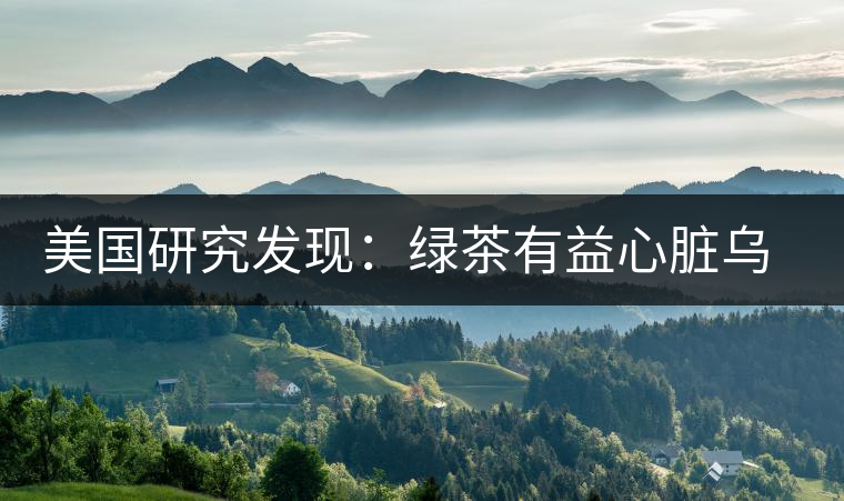 美國研究發(fā)現(xiàn):綠茶有益心臟烏龍茶瘦腰身 美國研究發(fā)現(xiàn):綠茶有益心臟烏龍茶瘦腰身