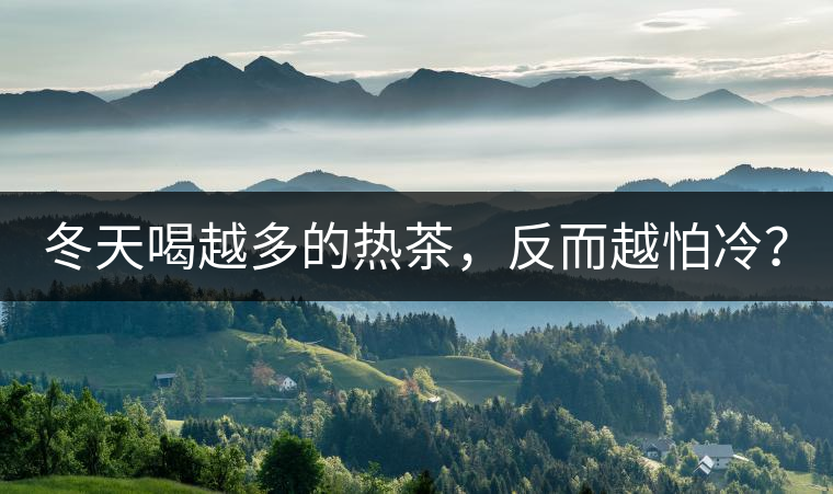 冬天喝越多的熱茶，反而越怕冷？