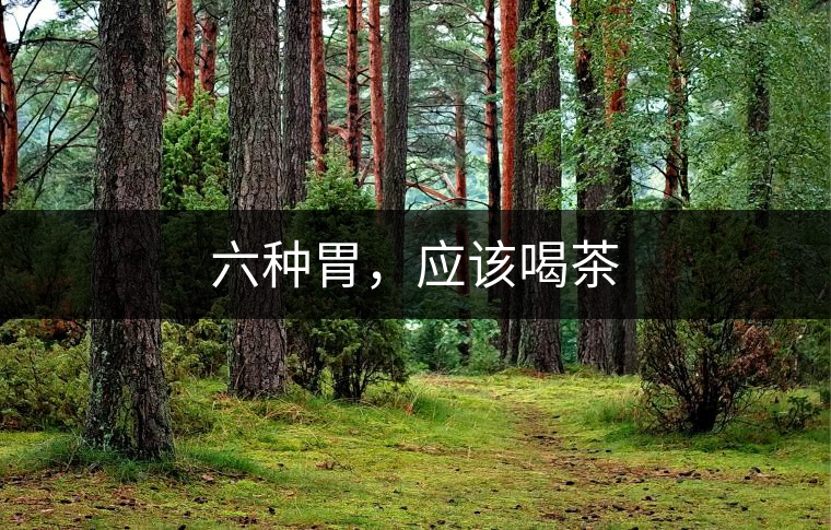 六種胃，應(yīng)該喝茶