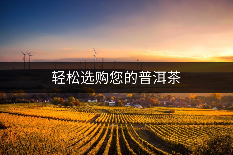 輕松選購您的普洱茶 輕松選購您的普洱茶