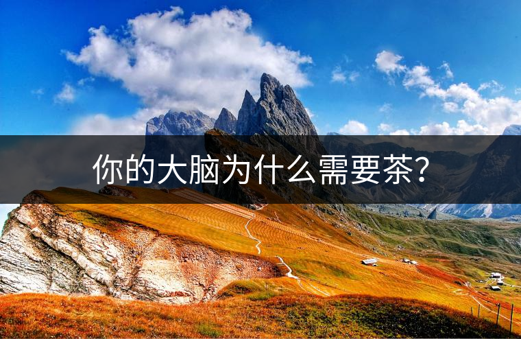 你的大腦為什么需要茶？