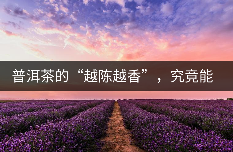 普洱茶的“越陳越香”，究竟能“陳”多久