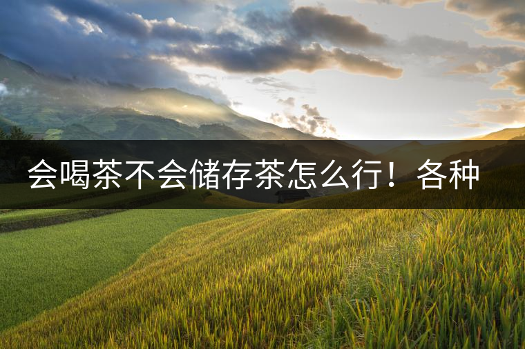 會喝茶不會儲存茶怎么行！各種存茶方法與技巧，把茶香留住