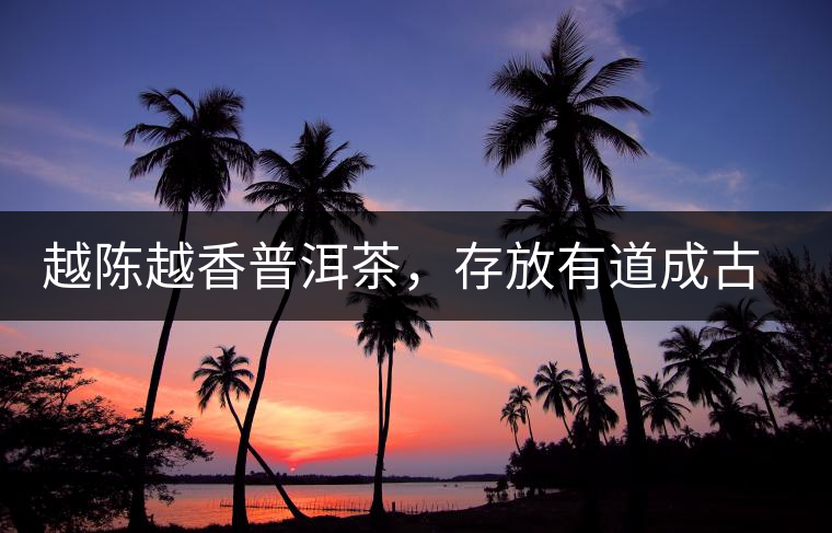 越陳越香普洱茶，存放有道成古董