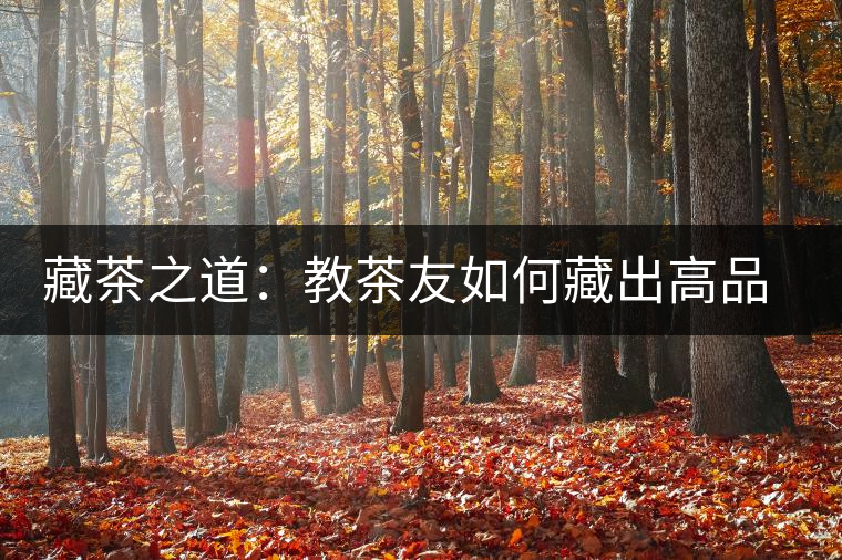 藏茶之道：教茶友如何藏出高品質(zhì)普洱茶