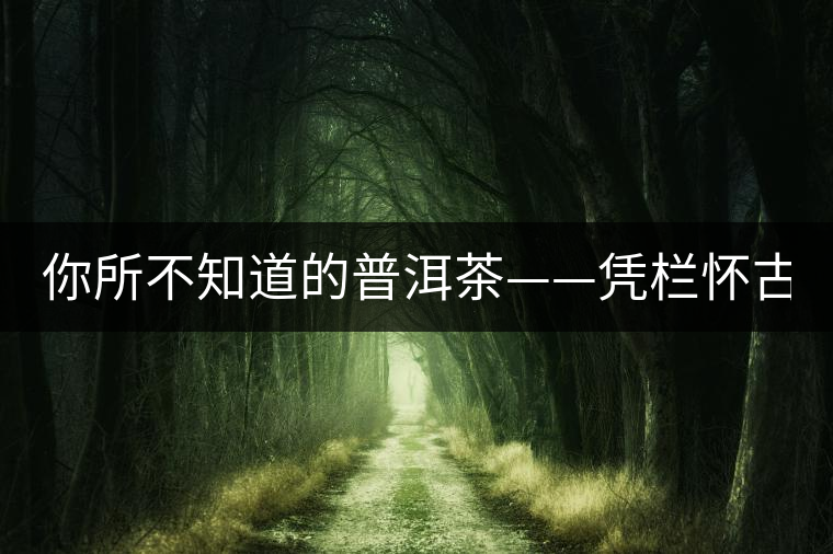 你所不知道的普洱茶——憑欄懷古(上) 你所不知道的普洱茶——憑欄懷古(上)