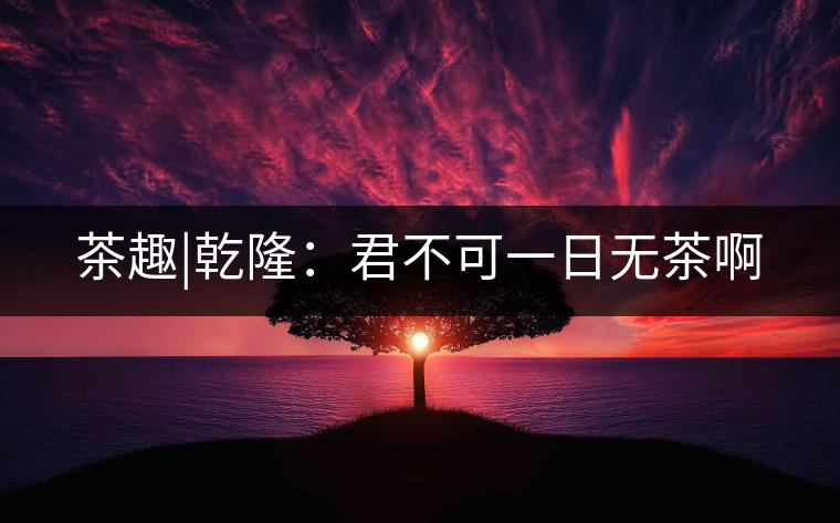 茶趣|乾?。壕豢梢蝗諢o茶啊