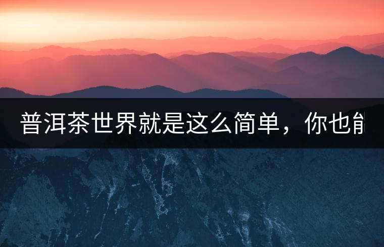 普洱茶世界就是這么簡單，你也能懂！