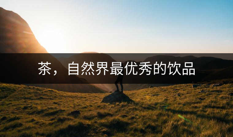 茶，自然界最優(yōu)秀的飲品