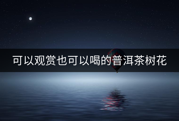 可以觀賞也可以喝的普洱茶樹花