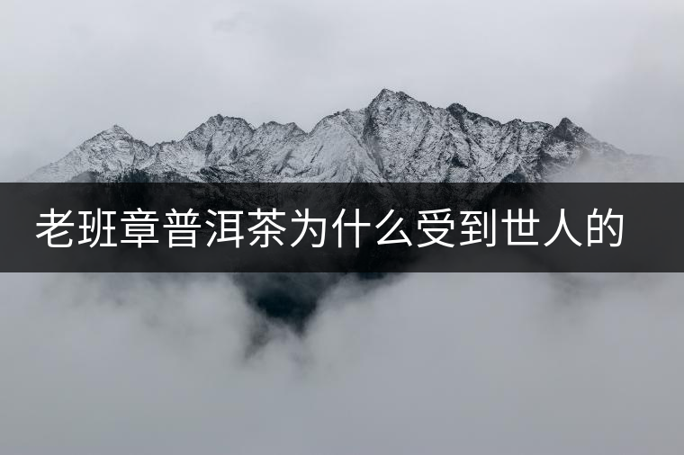 老班章普洱茶為什么受到世人的追捧