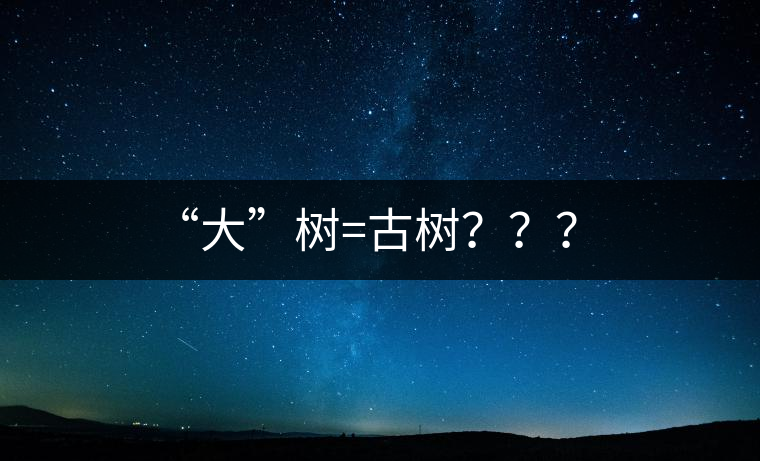 “大”樹=古樹？？？